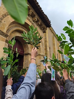 Dimanche Rameaux